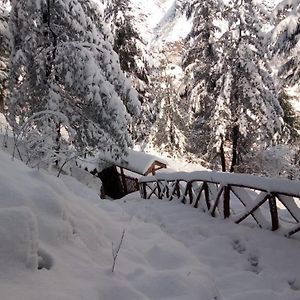 Double Room Mountain View